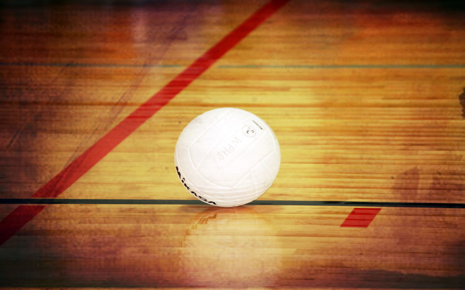 Players in a Lady Bulldogs Volleyball practice session