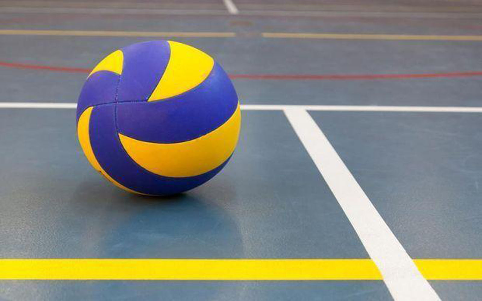 Lady Bulldogs Volleyball sponsors
